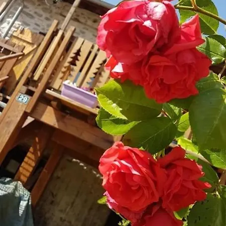 La Maison De Neige Hébergement de vacances